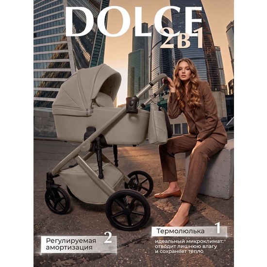 Коляска 2 в 1 SBL Dolce Beige - 21